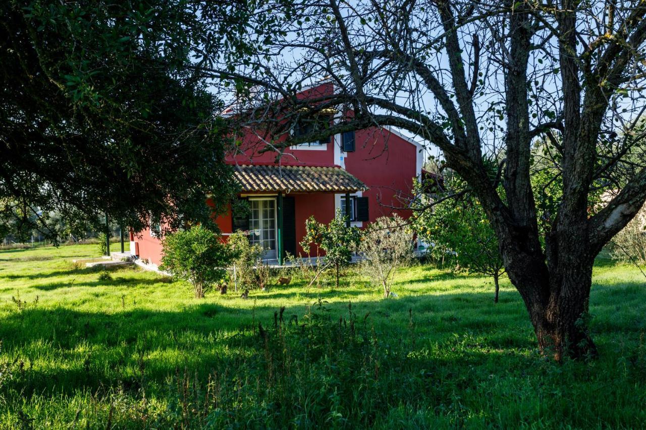 Fridas Place Halikounas Экстерьер фото
